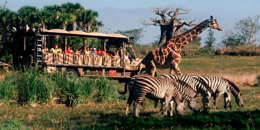 Kilimanjaro Safaris