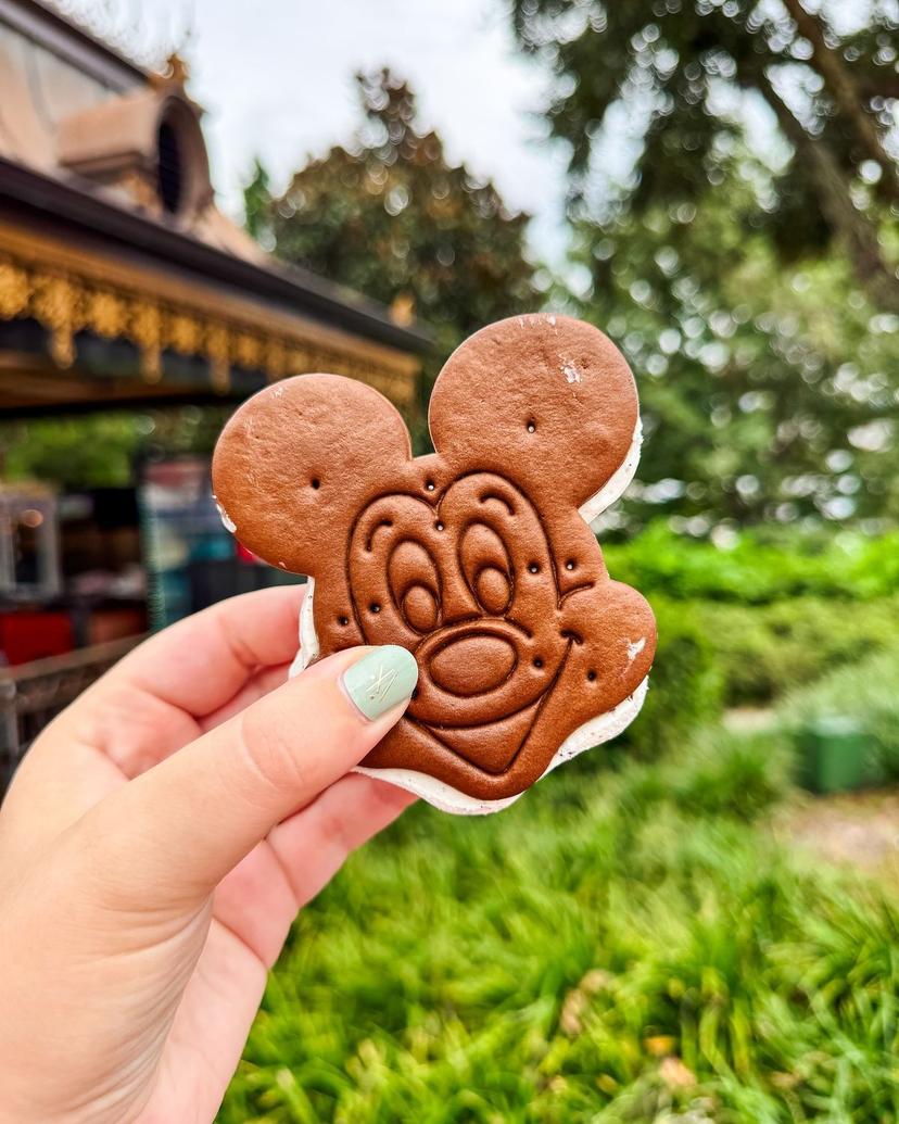 Mickey Premium Bar