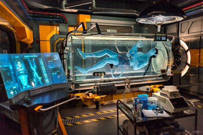 Avatar Flight of Passage